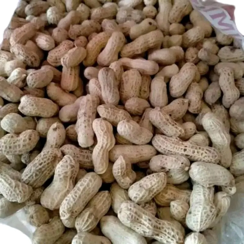 Kacang Kulit Sangrai Oven 500gr Camilan