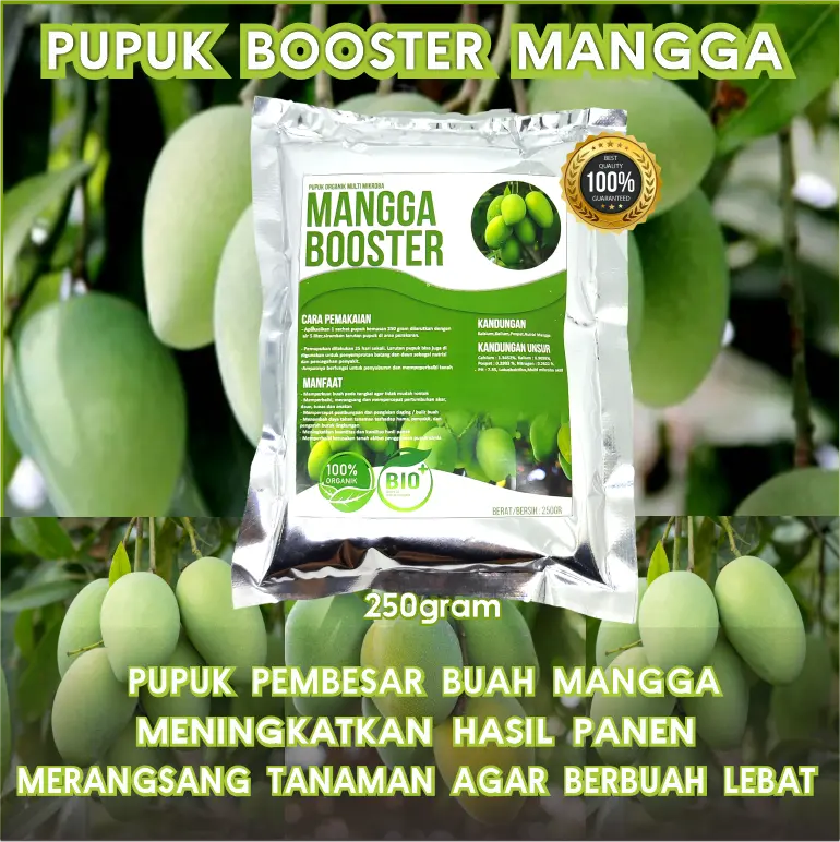 Pupuk Booster Mangga - Pupuk organik pelebat buah, menyuburkan tanaman, dan memperkuat tanaman Mangga Alami Tumbuhan