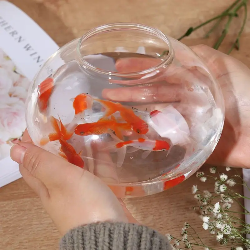 Bể Cá Tròn Trong Suốt, Trang Trí Nội Thất, Cầm Tay, Bát Cá Nhỏ Đèn Nhựa, Bát Bể Cá Để Bàn Thích Hợp Sử Dụng Tại Nhà Văn Phòng 3