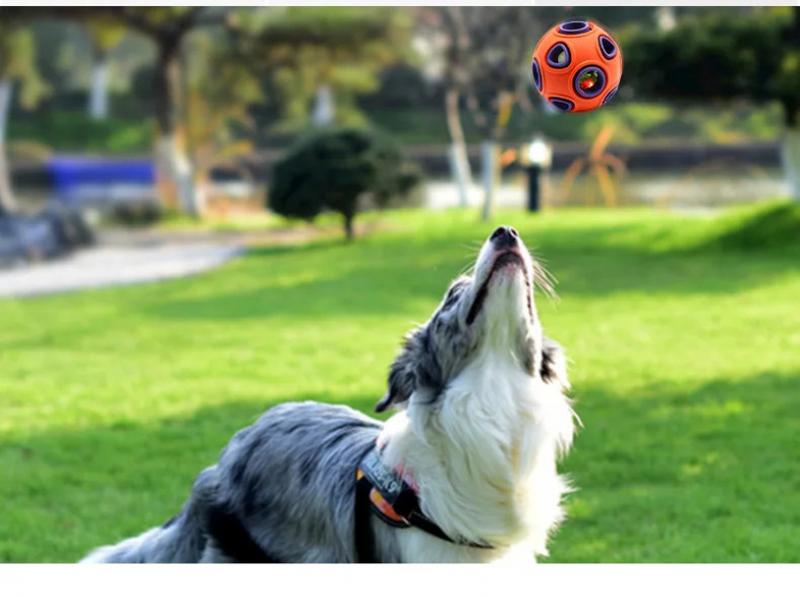 Product Introduction of Pet Toy Ball Ring Bite Resistant Sound Making Dog Toy Rubber Tooth Grinding Training Ball Pet Supplies Interactive Dog Toys 9
