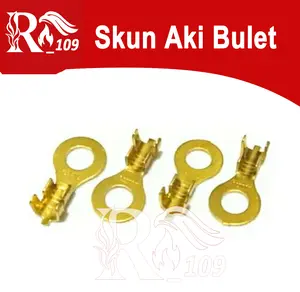 Paket  10 PCS  SEKUN AKI BULET/SKUN AKI MOTOR M-6 / M6 BULAT ,