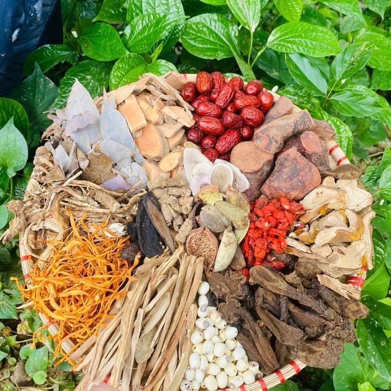 Đại bổ than 15 vi thảo mộc trà tự nhiên Người Tây Bắc