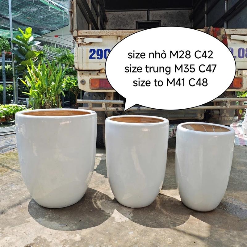 (CÓ SHIP RẺ) Chậu Trồng Cây Sứ Trắng 3 Kích Thước Có Đĩa Kê Riêng, Bền, Đẹp - Gốm Sứ Bát Tràng