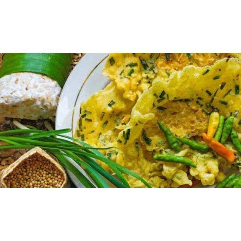 Benih Daun Kucai Hibrida Known You Seed - Benih Sayuran Gloyong Farm 5