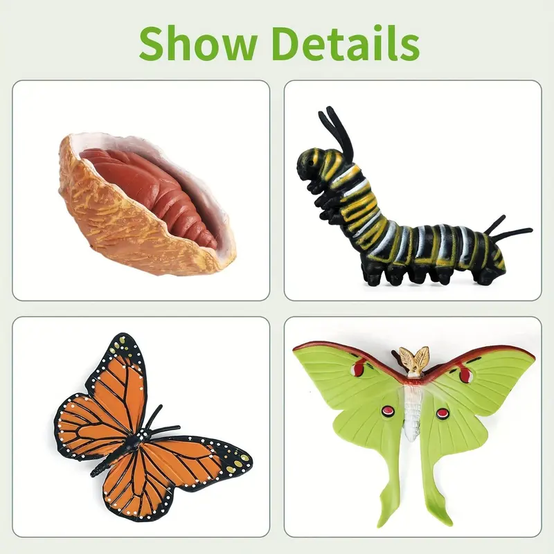 8pcs/set Butterfly Life Cycle Toy, Cute Model Caterpillar Butterfly, Montessori Early Childhood Education Toy 3