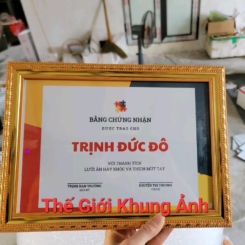 ComBo 10 khung giấy khen học sinh kích thước 21x30cm khổ giấy a4 dành cho học sinh cấp 1 2 3 ( ComBo này tối ưu cân nặng để nhẹ ship)