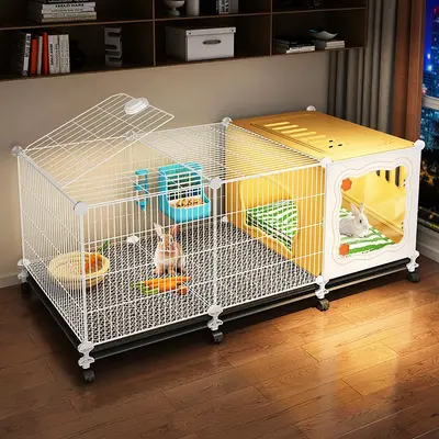 Best Hedgehog Cage Setup Squirrel Cage MODESLAB Guinea Pig