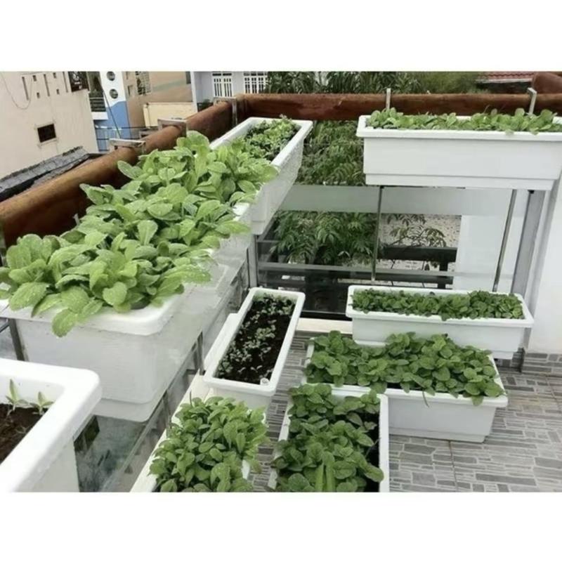 Product Introduction of Chậu nhựa trồng rau trồng hoa cây cảnh thông minh hình chữ nhật 48x20x16cm tiện ích 15