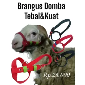 Head halter / Brangus Domba dan Kambing