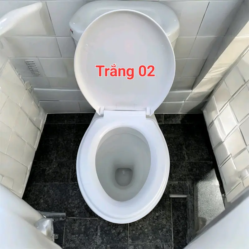 Nắp bồn cầu rơi tự do - phù hợp với bồn cầu 2 két rời và bệ ngồi hiện nay ( Không Vừa Bồn Cầu Liền Khối) 6