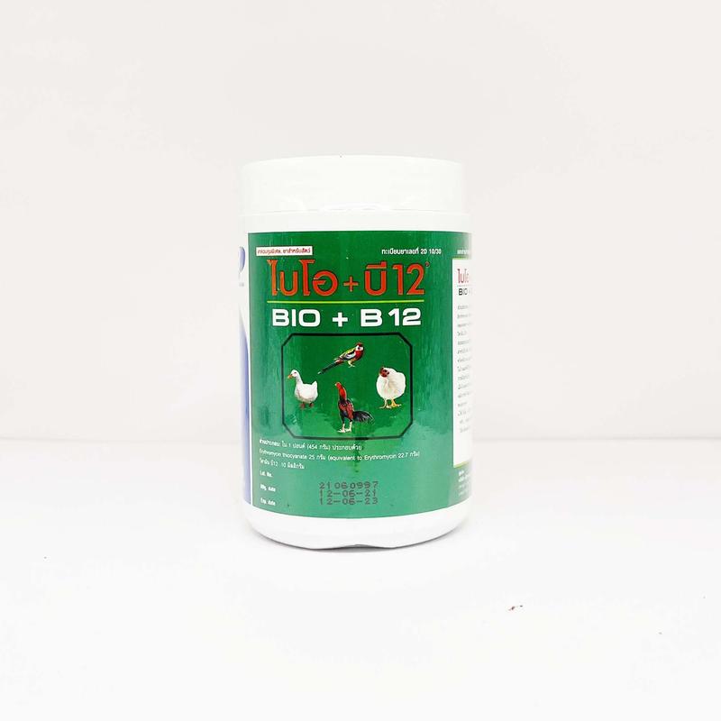 Bio B12 Úm Gà con Gà Lớn Chim cảnh Tăng Sức Đề Kháng