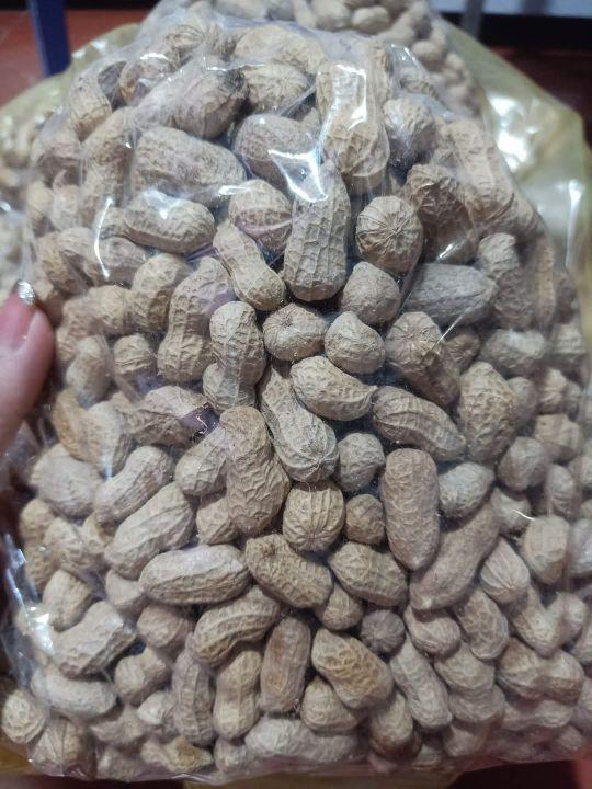 Product Introduction of Lạc Vỏ Rang Sẵn Túi Zip Ăn Thơm Ngậy Bùi Ngon lạc đỏ dân tự trồng 5