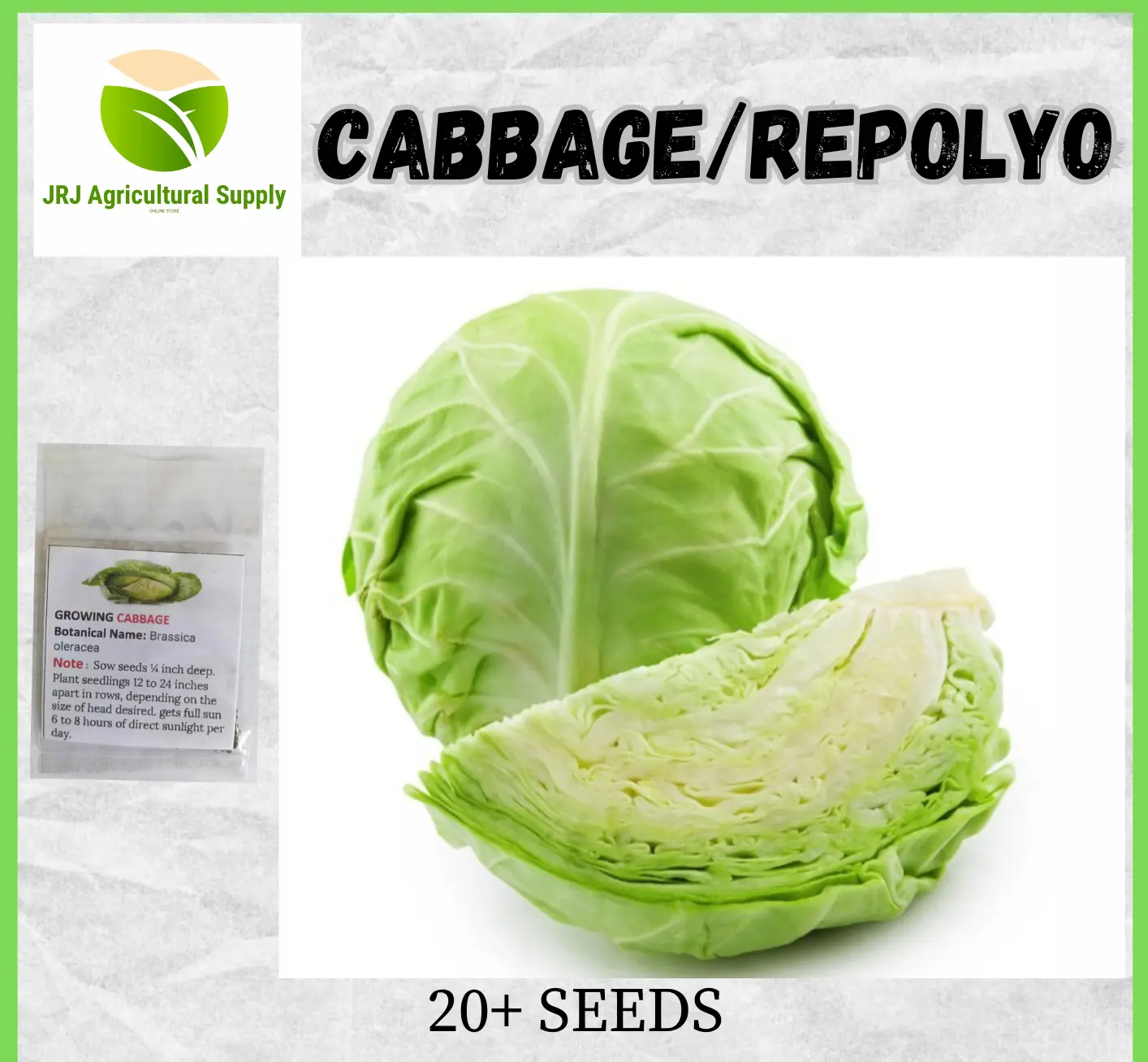 REPOLYO / CABBAGE SEEDS ( 10 SEEDS ) - 1pack