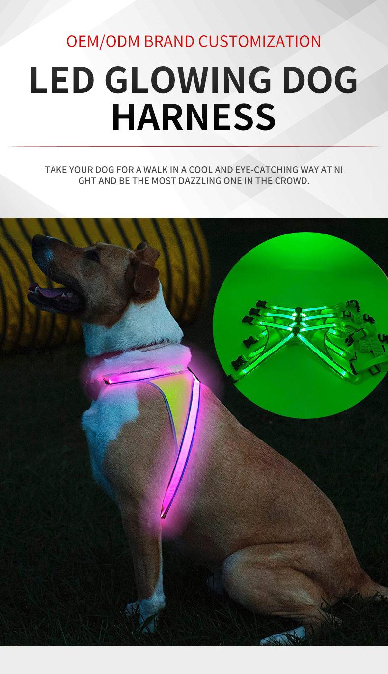 Product Introduction of Pet cat and dog cross double light strip undershirt USB rechargeable light up cat and dog chest and back strap warning clothes cat  clothes harness pet  harness 3