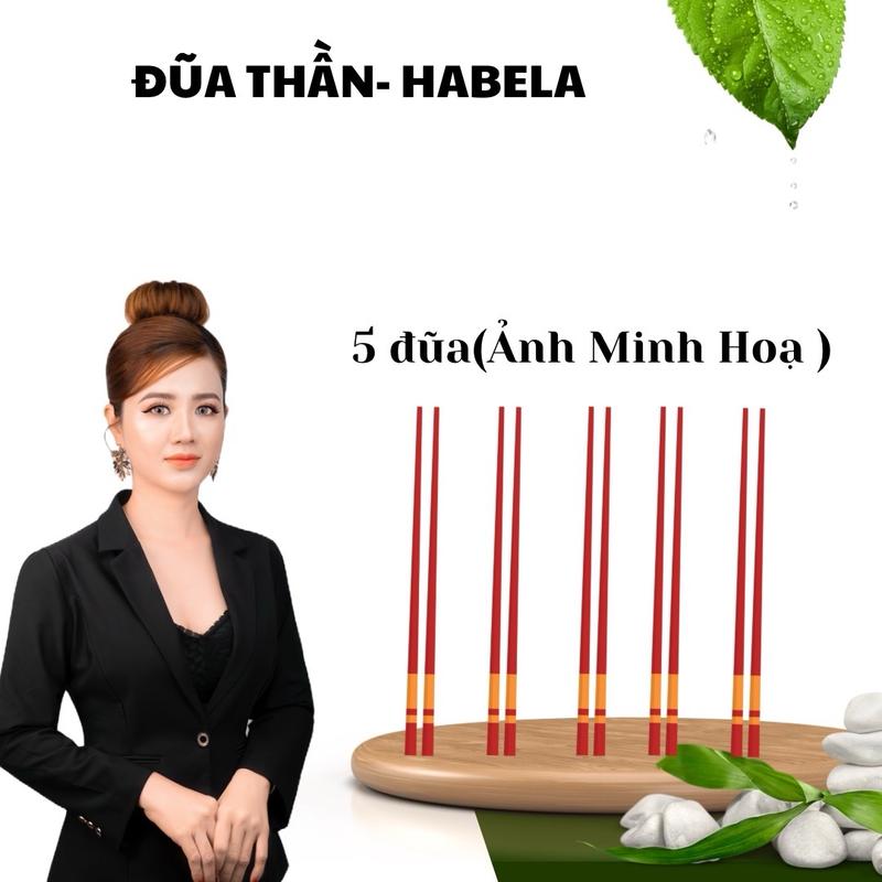 Habela- Đôi Đũa ( Hình minh Hoạ ) -Chi tiết tại giỏ hàng 0