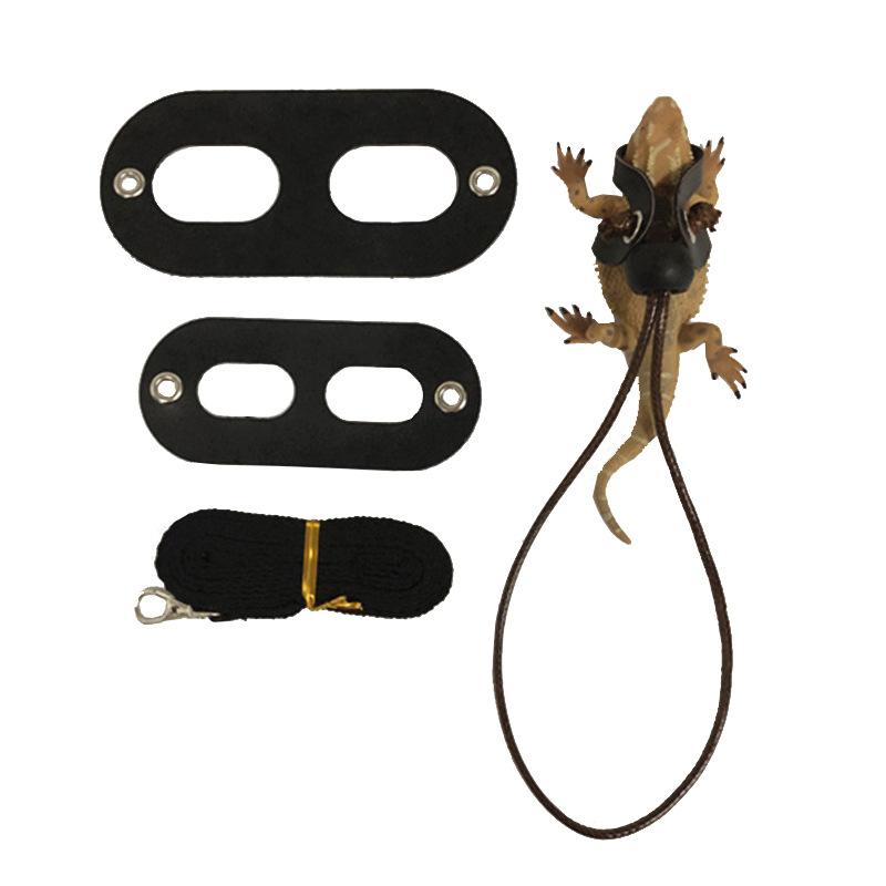 Product Introduction of 2025 Reptile Pet Lizard Leash with Wings Squirrel Harness Chinchilla Leash Green Gecko Lizard Guinea Pig Outdoor Leash 14