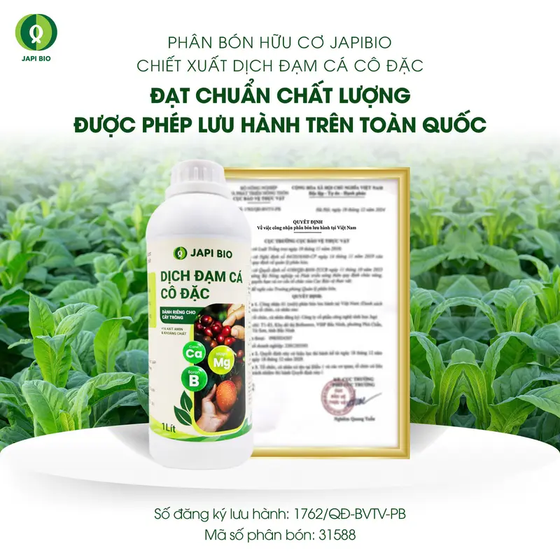 Phân bón hữu cơ Japi Bio (chai 1L) - Dịch đạm cá Amino, giúp cây xanh lá, bén rễ, đất tơi xốp 5