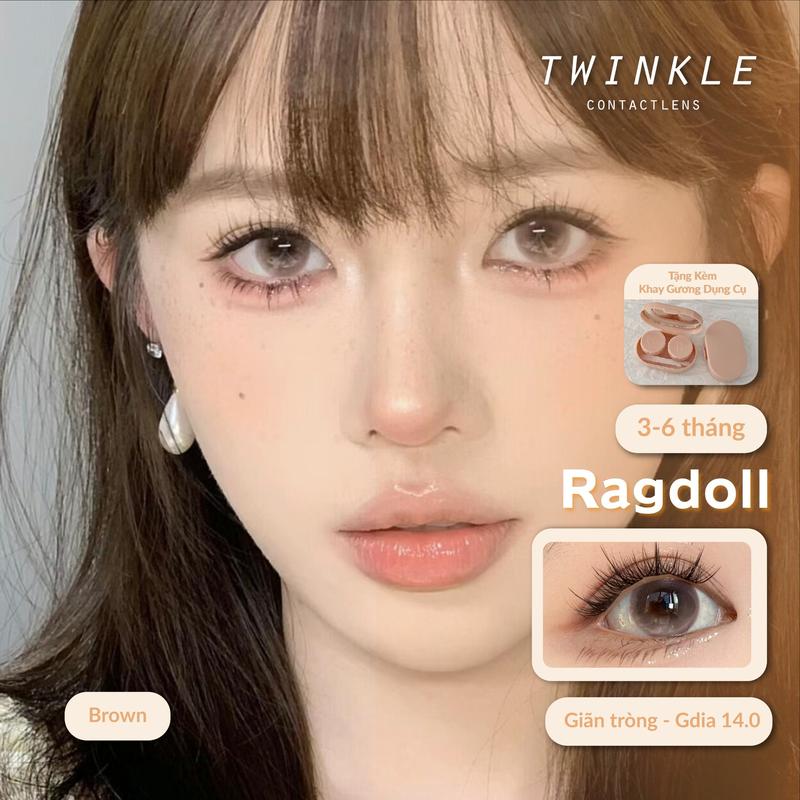  14.5 Kính áp tròng lens Ragdoll Brown hiệu ứng phủ bóng 2 chiều lens twinkle 