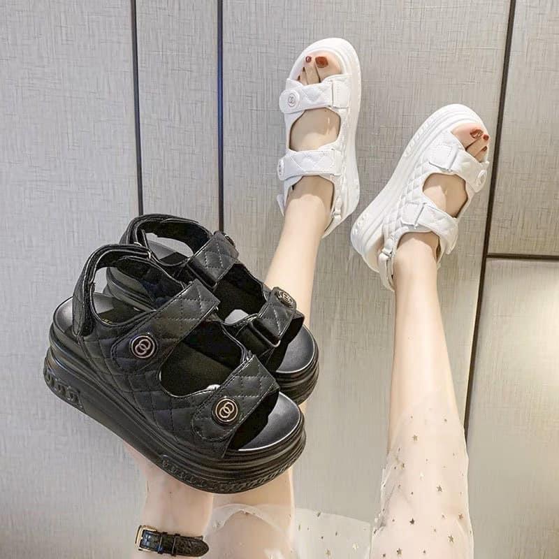 Quai hậu độn đế 7cm siêu tôn dáng hàng Qc loại 1 Nữ DéP