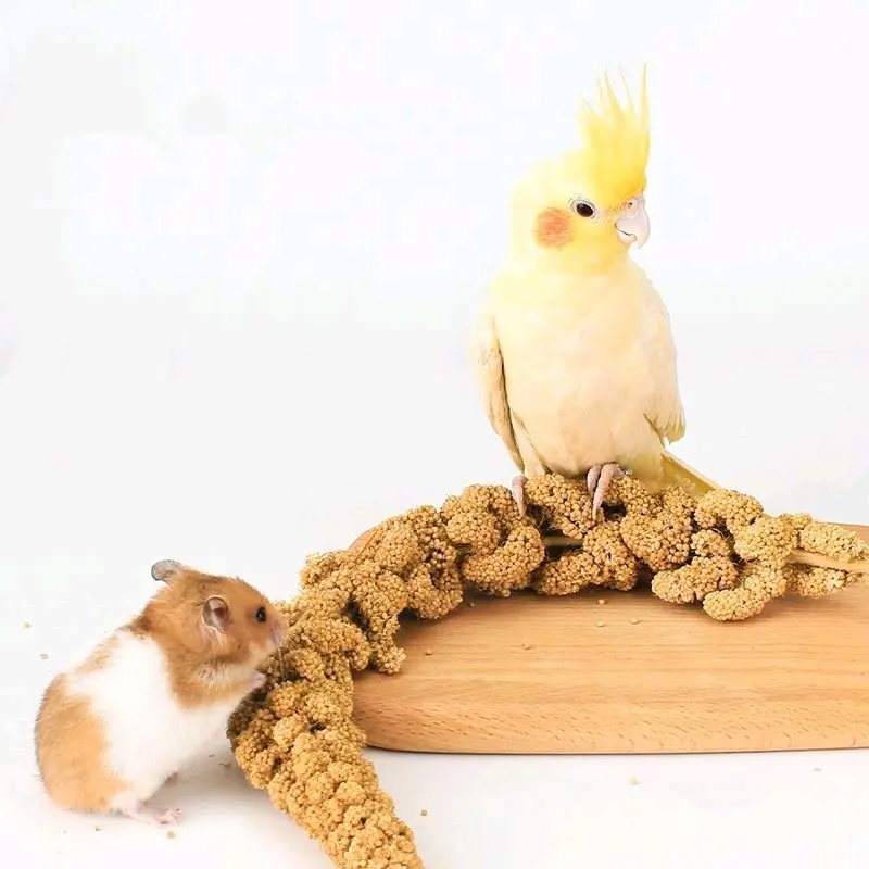 Premium Quality Millet Sprays Treat your birds to a healthy, stimulating, natural, low fat treat.