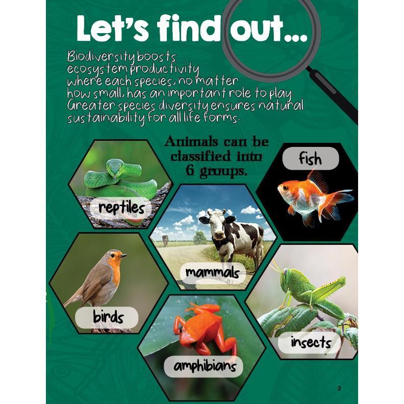 Product Introduction of original STEAM Explorers Magazine (Age 4-8) - Issue 4 (Science, Technology, Engineering, Arts, Mathematics Books / Magazines) 8