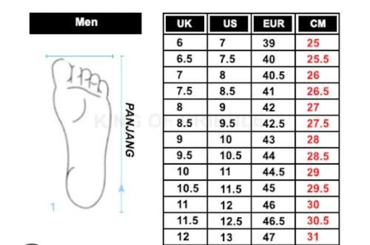 Product Introduction of sepatu Running sneakers viral sepatu Mizuno pria wanita nyaman dan enteng Outdoor 0