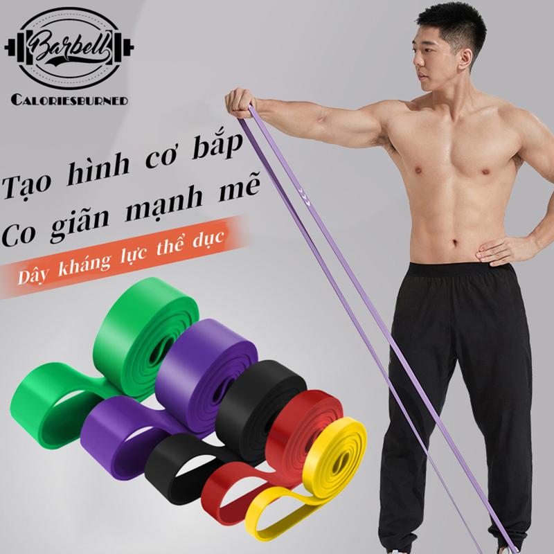 Dây Kháng Lực, Dây Đa Năng Hỗ Trợ Tập Luyện Tập Gym Thể Hình Cao Su Power Band Chính Hãng