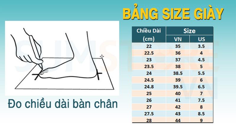 Product Introduction of Giày Pickleball Cao Cấp Cho Nữ Promax PI86 Với 2 Màu Sắc 0