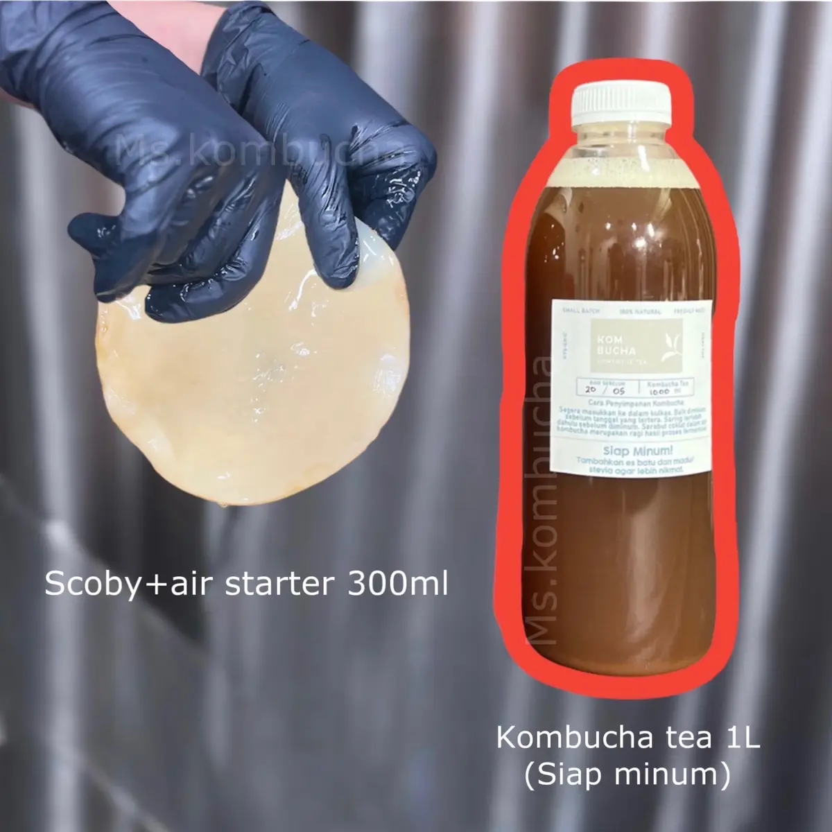 Scoby + air starter 300ml + kombucha tea 1L
