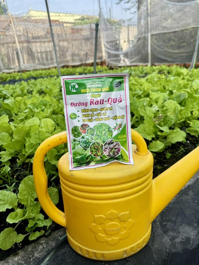 Product Introduction of Túi 100ml dinh dưỡng trùn quế dùng cho rau củ quả. 0