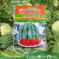 Gambar Benih Semangka Unggul MADEIRA F1 20 gr Cap Bintang Asia dari PUROTANI.ID Kab. Purworejo 4 Tokopedia