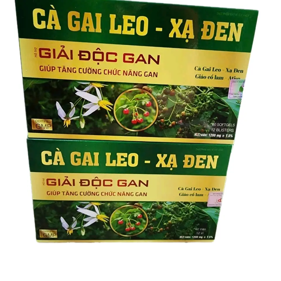 Cà gai leo- xạ đen. Giúp làm mát gan, giải độc gan.