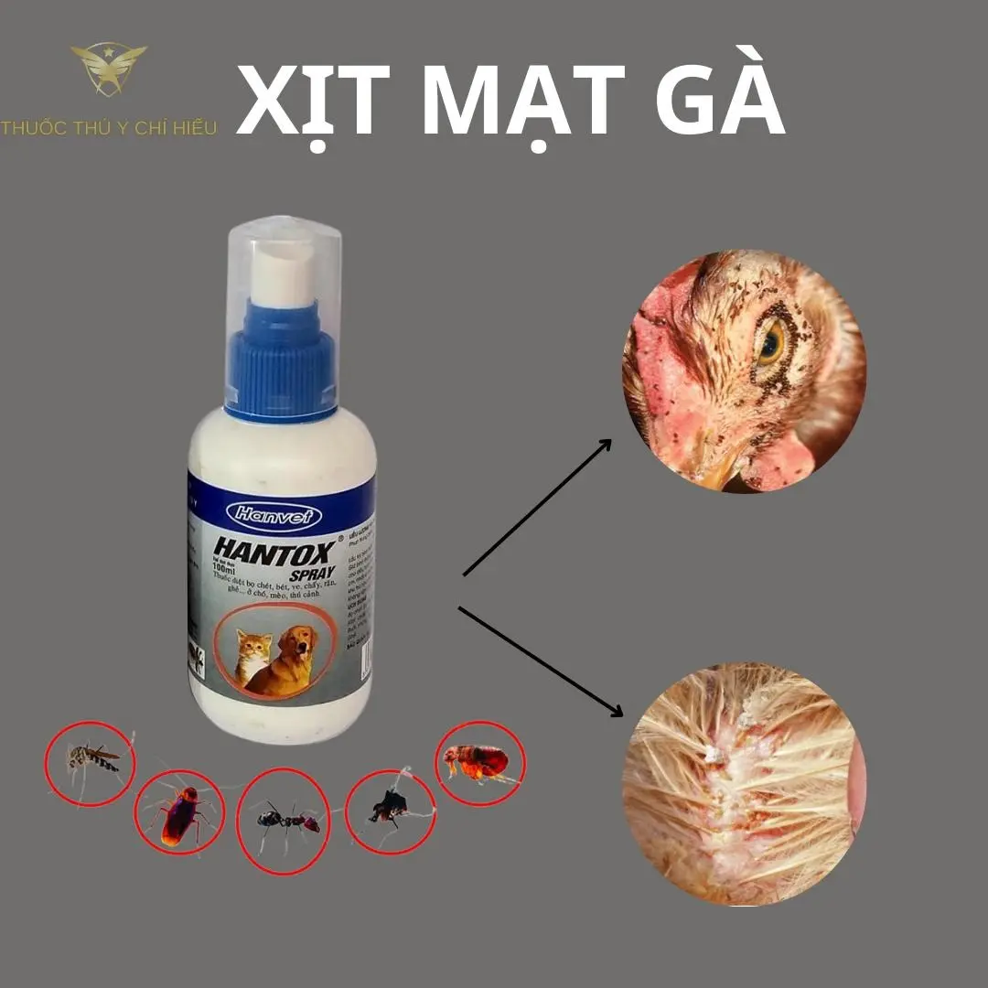 [XỊT MẠT GÀ ĐÁ] HANTOX PRAY DÙNG CHO GÀ ĐÁ, VE BỌ CHÉT TRÊN CHÓ MÈO