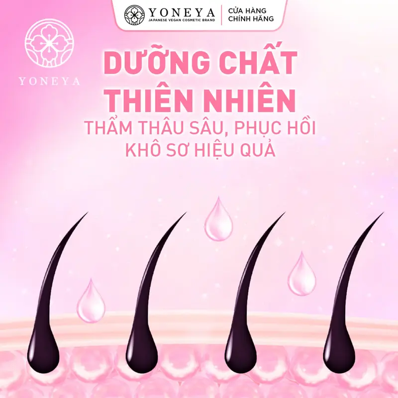 [MUA 1 TẶNG 2]  COMBO  Gội Xả Thiên Nhiên Yoneya Botanical Jasmine Camellia Hydrate & Shine Phục Hồi Hư Tổn Chuyên Sâu 400g 2