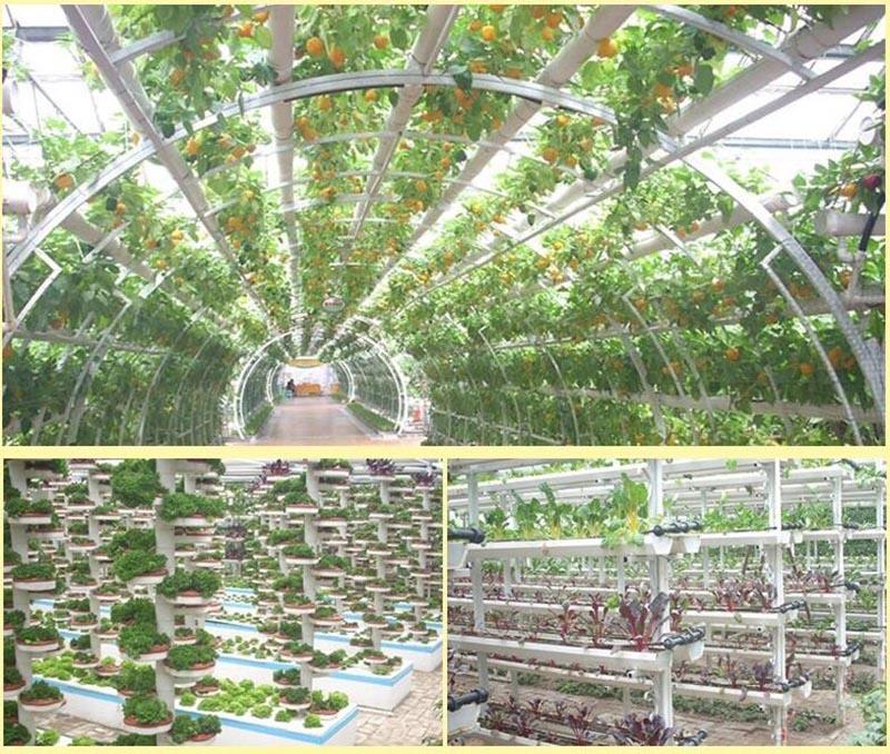 Product Introduction of 50pcs Plastic Basket Holder Plant Grow Net Nursery Pots Hydroponic Mesh Cup Plant Soilless 84
