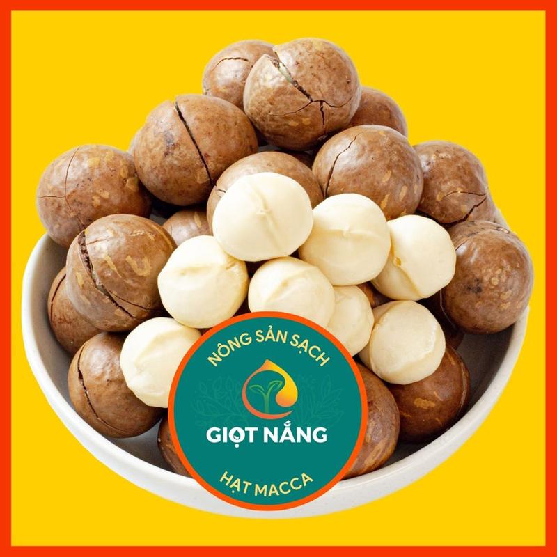 Hạt macca nứt vỏ mắc ca Đăk Lăk sấy lạnh quả dễ tách dinh dưỡng cho Mẹ Bầu hộp 500g từ GIỌT NẮNG