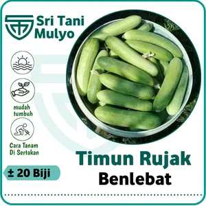 20 Biji - Benih Timun Lalap Unggul BENLEBAT - Mudah Tumbuh, Bibit Sayuran Benih Sayuran Timun