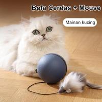 Gambar Vinnatsu Bola Mainan Hewan Peliharaan Pet Mainan Anjing Kucing Bola Mainan Kucing Bola Tikus Listrik Bergulir Cerdas Hewan Peliharaan Bola - Oranye dari Vinnatsu official Kab. Tangerang 2 Tokopedia