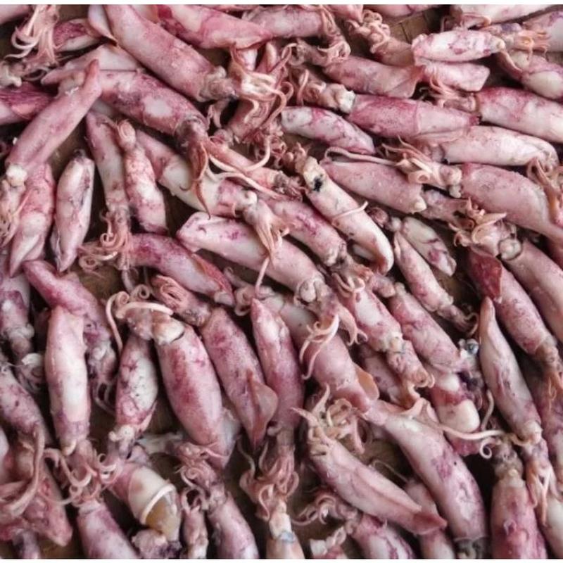 Cumi baby asin kering 1000 gram Food Goreng 4