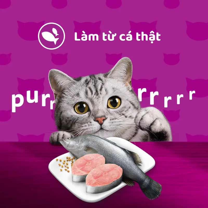 Thùng Thức Ăn Cho Mèo Lớn Dạng Sốt Pate WHISKAS - 28 gói 4