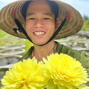 Hoa Súng Nguyễn Pha