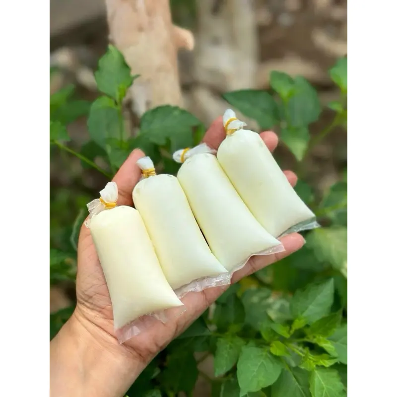 SỮA CHUA LONG THÀNH 10 bọc bao ngon (giao tphcm)