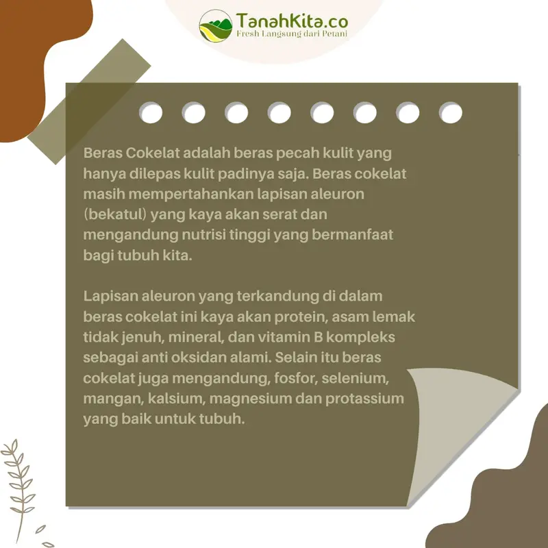 Beras Coklat Pecah Kulit Pulen FRESH langsung dari Petani (1kg vacuum) 4