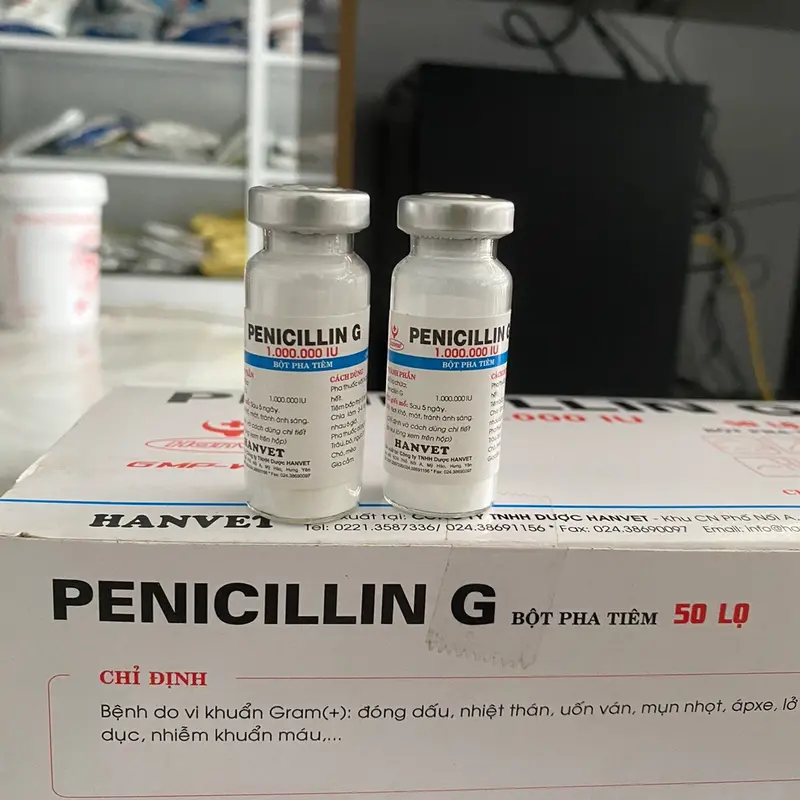 Penicillin G và Streptomycin (lọ 1g) hanvet bột pha tiêm xử lý các bệnh đóng dấu, nhiệt thán, mụn nhọt, áp xe,.. ở gia súc gia cầm 2