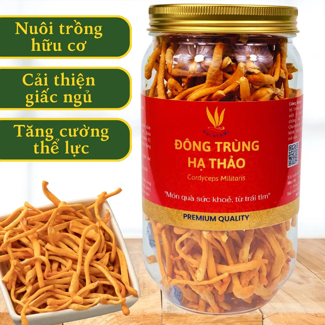Đông Trùng Hạ Thảo Sấy Thăng Hoa Hũ 30g Hulacomi