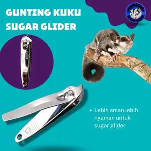 Gunting kuku Sugar Glider,kucing dll