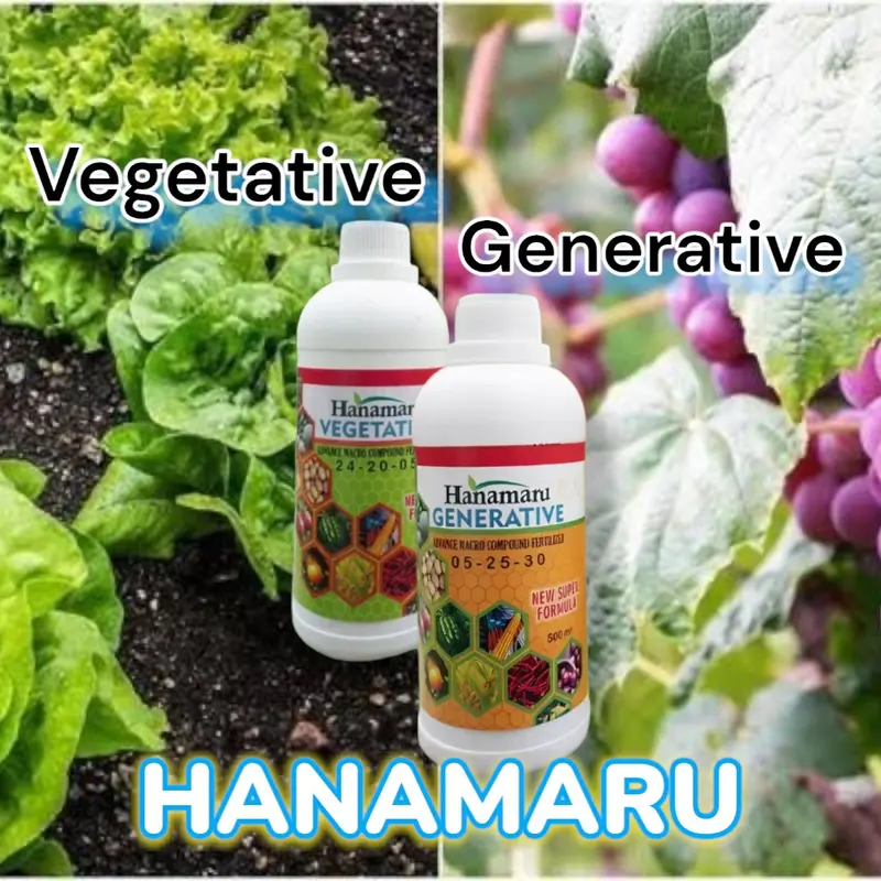 Pupuk hanamaru 500 mL cocok untuk semua tanaman anda,Daun,buah 8