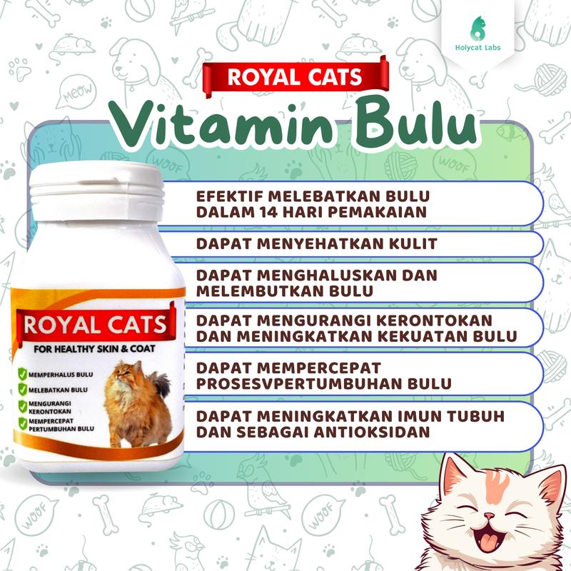 Product Introduction of Holycatlabs Paket Vitamin Kucing Gemuk Bulu Gondrong ala LEO KUCING 5
