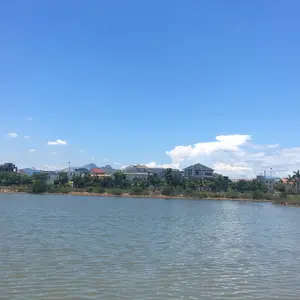 Một tháng đổi tên một lần