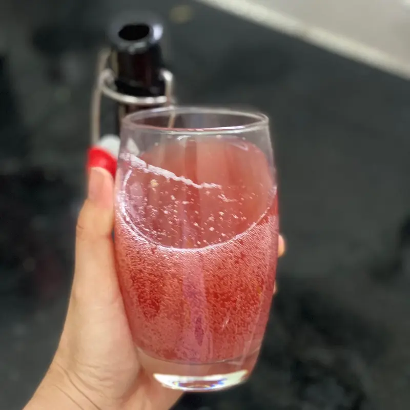Set Trà Kombucha 4 Món Tự Nhiên Tea Nước Trà 5